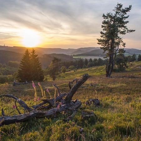 Fewo Poenblick Willingen  Extérieur photo