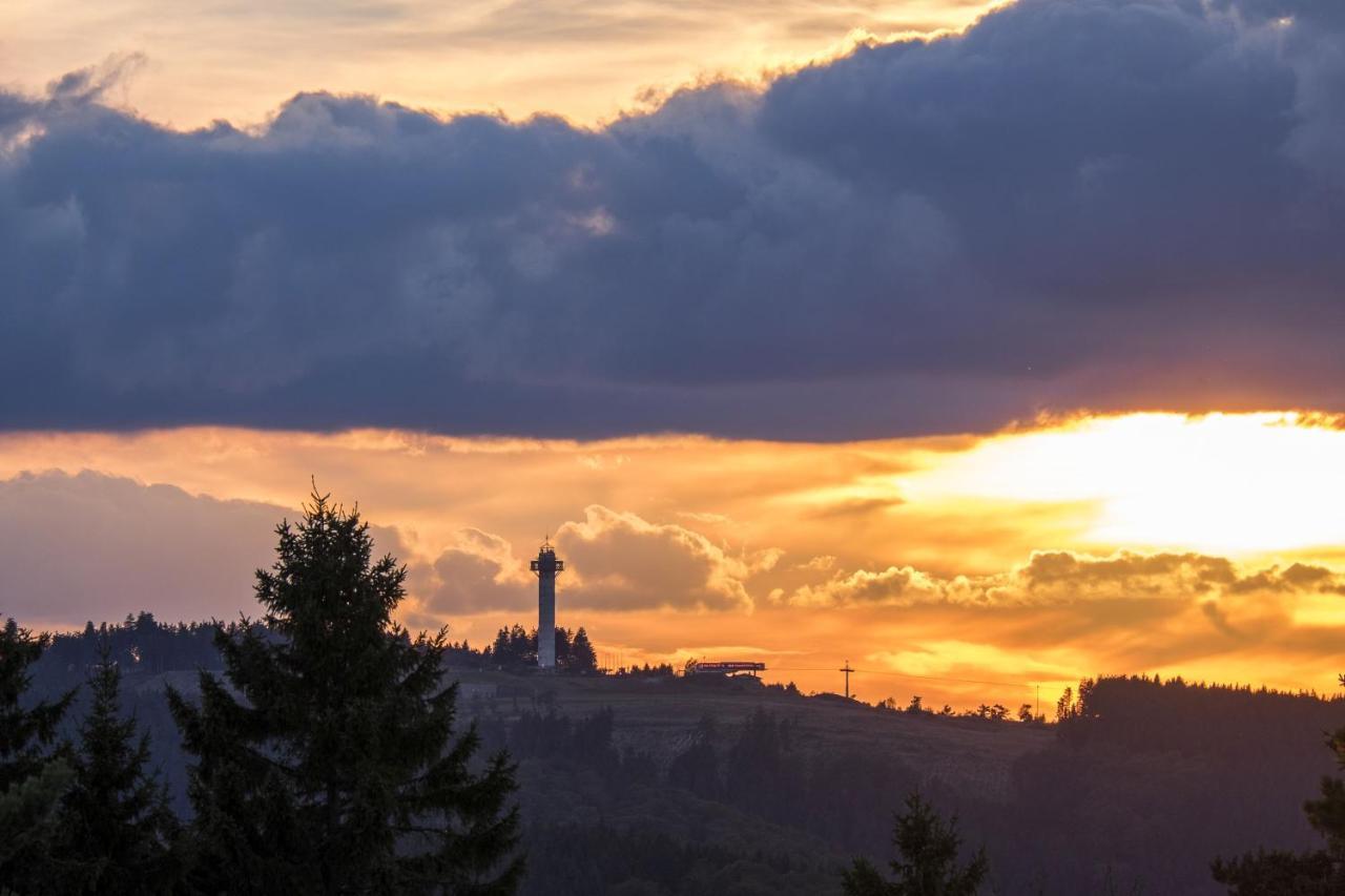 Fewo Poenblick Willingen  Extérieur photo