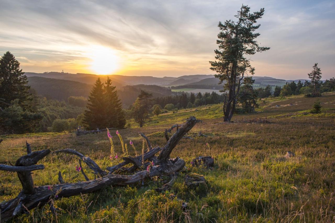 Fewo Poenblick Willingen  Extérieur photo