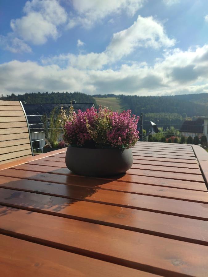 Fewo Poenblick Willingen  Extérieur photo